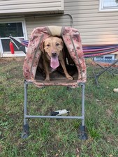 Momarsh invisilab dog for sale  Olathe
