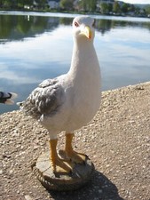 Möwe poller polyresin gebraucht kaufen  Altlay, Grenderich, St.Aldegund