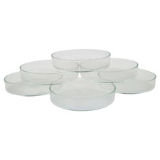 6er set petrischale gebraucht kaufen  Gelsenkirchen