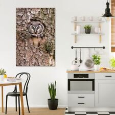 Banjado glas bild gebraucht kaufen  Weinböhla