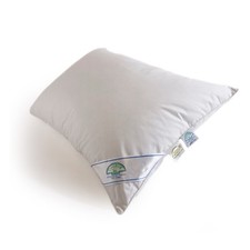 Daunex cuscino guanciale usato  Ferrara