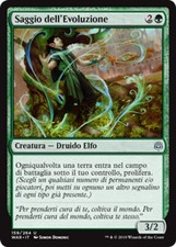 Mtg evolution sage usato  Bari