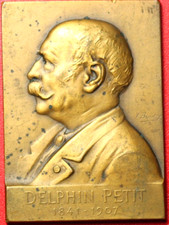 13870 plaquette delphin d'occasion  Rillieux-la-Pape