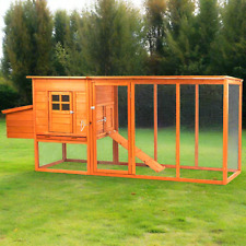 Extra large hen for sale  IPSWICH