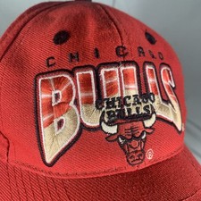 chicago bulls for sale  Owensboro
