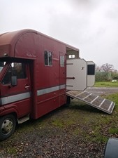 Renault master horsebox for sale  UK