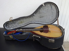 Tenor mandola gabriele gebraucht kaufen  Hohenstein-Ernstthal