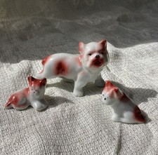 Vintage english bulldogs for sale  Fayetteville