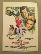 Locandina bianchi cavalli usato  Italia