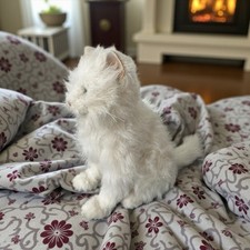 Furreal friends cat for sale  HEREFORD