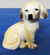 Labrador retriever dog for sale  BISHOP AUCKLAND