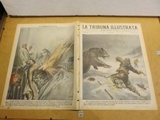 Orso skopyle rivolta usato  Salerno