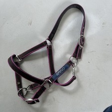 control headcollar for sale control headcollar for sale COLCHESTER