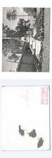 Fremdenlegion foto 1956 gebraucht kaufen  Deutschland
