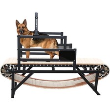 Dog treadmill large for sale  Chino