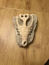 Crane mosasaur skull for sale  Pasadena