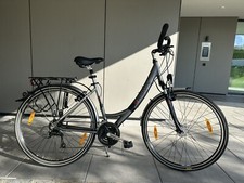 Neuwertig pegasus alu gebraucht kaufen  Pfarrkirchen