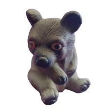 Baby brown bear for sale  Valley Center