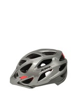 Alpina sports thunder gebraucht kaufen  Leipzig