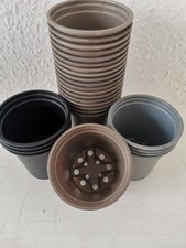 Small plastic plant for sale  CARLISLE