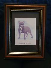 staffordshire bull terrier cards for sale staffordshire bull terrier cards for sale CHARD