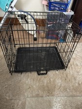 Small dog cat for sale  BIRMINGHAM