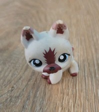 Lps 1421 rare for sale  Bellefonte