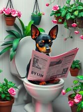 Miniature pinscher toilet for sale  DUNSTABLE