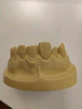 Zahnmedizin dental übungsmode gebraucht kaufen  Gundelfingen