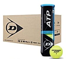 Tubi palle dunlop usato  Rionero in Vulture