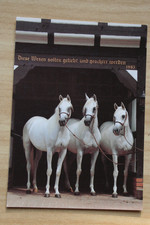 Pferd postkarte horse gebraucht kaufen  Berlin