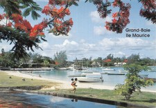 Maurice grand baie d'occasion  France