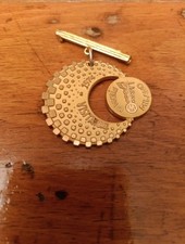Medaglia spilla visitatore usato  Bresso