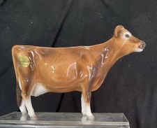 jersey cow for sale jersey cow for sale COLCHESTER