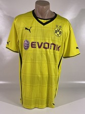Borussia dortmund 2013 gebraucht kaufen  Dortmund