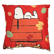 Peanuts snoopy doghouse for sale  Dunn