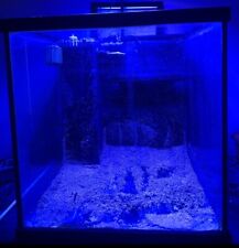 60g saltwater aquarium for sale  Lemoore