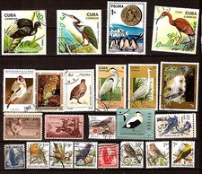 Pays oiseaux birds d'occasion  Venelles