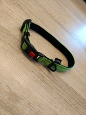 Hunde halsband gebraucht kaufen  Presseck