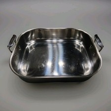 Clad lasagna chickens for sale  Saint Augustine