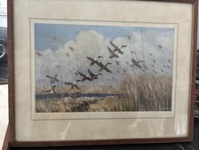 Peter scott print for sale  BOSTON