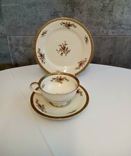 Rosenthal else sammelgedeck gebraucht kaufen  Münster