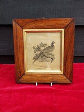 pheasant prints for sale pheasant prints for sale UK