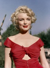 Photo niagara marilyn d'occasion  Limoges-