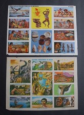 PÁGINAS DE INFORMAÇÕES CULTURAS PREHISTORICAS DE MEXICO (em espanhol) comprar usado  Enviando para Brazil