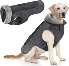 Cappotto cane giacca usato Cappotto cane giacca usato  Roma