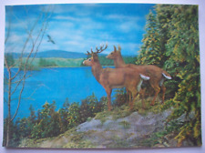 Deer couple look for sale  Saint Cloud