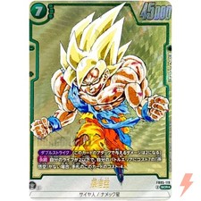 Goku fb05 119 d'occasion  Expédié en France