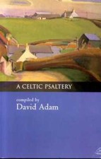 Adam david celtic for sale  LLANWRDA