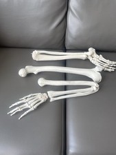 Anatomically correct life for sale  BEDFORD